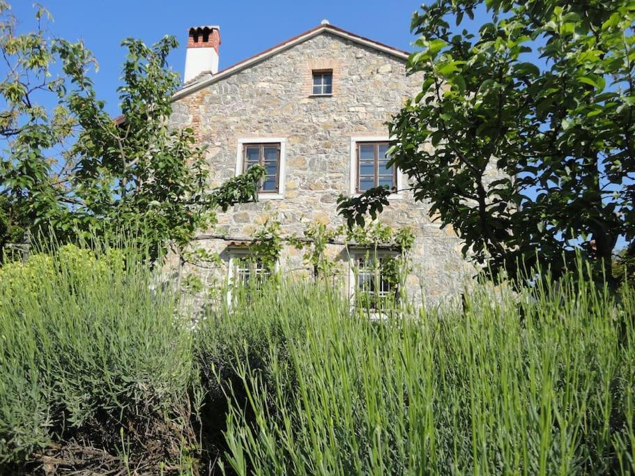A Lovely House In Vipava Valley Kültér fotó