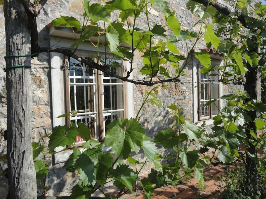 A Lovely House In Vipava Valley Kültér fotó